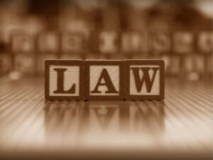 Defending the Future: Choosing the Right Criminal Immigration Lawyer Law Firm