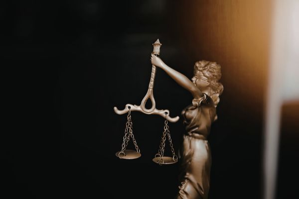 International courts and human rights